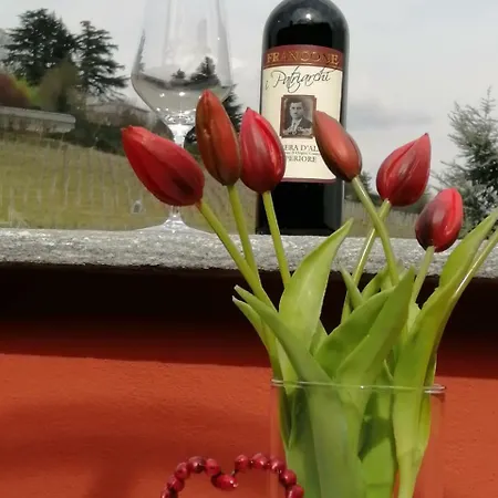 Daire Centro Alba Con Vista Sulle Vigne Alba (Piedmont)